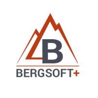 BERGSOFT+ logo - Similar company to Vindevs