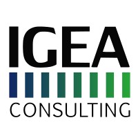 IGEA Consulting S.T.P. s.r.l. - Società di Ingegneria tra professionisti logo - Similar company to Predictive Lab