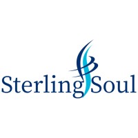 SterlingSoul Software Solutions Pvt Ltd logo - Similar company to Mindstack Software Pvt. Ltd.