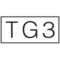 TG3 Consulting logo - Similar company to Excelon Development, Llc