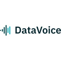 DataVoice International logo - Similar company to Servicelink