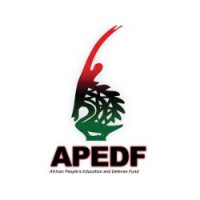 African People's Education and Defense Fund (APEDF) logo - Similar company to African Independence Workforce Program