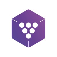 Botisum logo - Similar company to Strivee