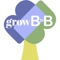 growBtoB logo - Similar company to Baryons Tech Solutions