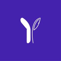 Yombi Lab Ltd logo - Similar company to Qt Global Software