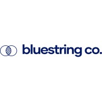 BlueString Consulting & Co. logo - Similar company to Pavulla Moçambique