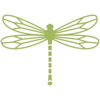 Dragonfly Financial Solutions LLC logo - Similar company to 3Rd Decade