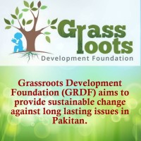 Grassroots Development Foundation logo - Similar company to Grassroot