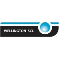 Wellington SCL logo - Similar company to Voicebyte