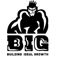 BIG | Building Ideal Growth logo - Similar company to Grannt Studio Ltd.