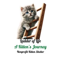 Ladder of Life A Kitten’s Journey logo - Similar company to Dolyte Global Solutions