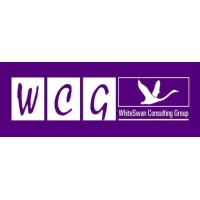 Whiteswan Consulting Group logo - Similar company to Stock Talks