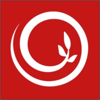 ROOT STUDIO logo - Similar company to Karavan Technology