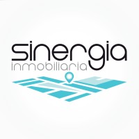Sinergia Inmobiliaria logo - Similar company to Vyn Sinergia
