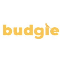 Budgie Games logo - Similar company to Placebo Games