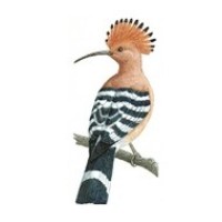 Creative Embroiders logo - Similar company to Sx Pro