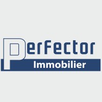 PERFECTOR IMMOBILIER BURKINA FASO logo - Similar company to Okalm Technology