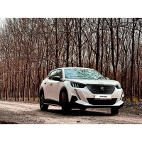 PEUGEOT 2008 logo - Similar company to Jääde