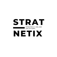 Stratnetix logo - Similar company to Stratnet Llc
