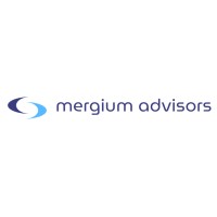 Mergium Advisors logo - Similar company to Everrealty Perú