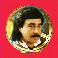 Young Lions Portugal logo - Similar company to Buzz Mosquito