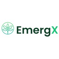 EmergX Finance corporation logo - Similar company to Fatherland Technology (Ft)