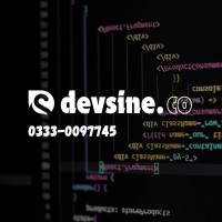 devsine.co logo - Similar company to Digibrex