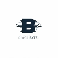 BINGI BYTE logo - Similar company to So Called Cs Engineers