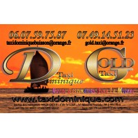 TAXI DOMNIQUE GOLD TAXI logo - Similar company to Motocab Taxi Moto