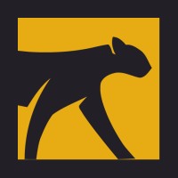 Branding Jungle logo - Similar company to 713 Branding