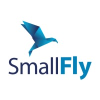 Small Fly logo - Similar company to Fly Leone Regional