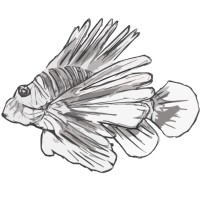 REEF Russian Electrical Engineering Firm logo - Similar company to Uralreduktor