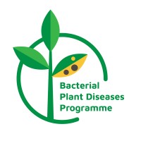 Bacterial Plant Diseases Programme logo - Similar company to Enzerosoft