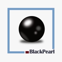 BlackPearl Western & Central Africa (BWeCA) logo - Similar company to Imaad Capital Partners