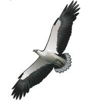 Thala Beach Nature Reserve, Port Douglas logo - Similar company to The Capta Group