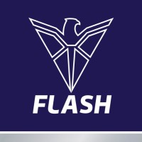 Flash Electronics India Pvt Ltd logo - Similar company to Frontline Electronics Pvt. Ltd.,