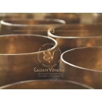 Eastern Vibration logo - Similar company to Roi: Revenue Of Inspiration
