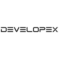 Developex logo - Similar company to Ash Phillips