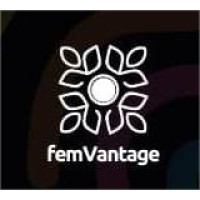 FEM Vantage Solutions logo - Similar company to Zikay Tech