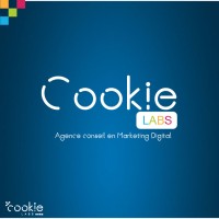 CookieLabs Côte d'Ivoire logo - Similar company to Datagong