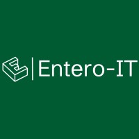Entero-IT logo - Similar company to Polaris Digital