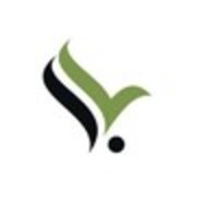 Virindu Venture Studio logo - Similar company to Virindu Group