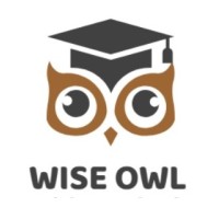 WISE OWL SOLUTIONS logo - Similar company to Wize Owl Solutions