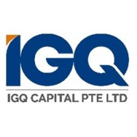 IGQ Capital Pte Ltd logo - Similar company to Starry Veritas Group (Svg)