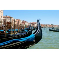 Fly2Europe Travel logo - Similar company to Gioco Viaggi