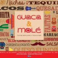 Guaca & Molé Restaurant and Bar logo - Similar company to Junction Consulting