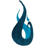 Liquid Image, Inc. logo - Similar company to Liquid Image Co