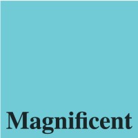 Magnificent logo - Similar company to Rm Staffing Solutions
