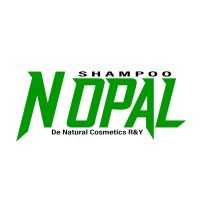 Nopal logo - Similar company to Supersonicz Money Transfer