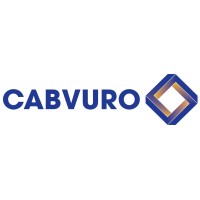 Cabvuro I Adviesbureau logo - Similar company to Nanoc Inspecties Bv